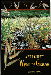 Field Guide To Wyoming Grasses