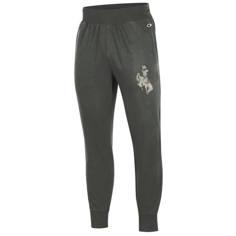 champion fleece jogger pants