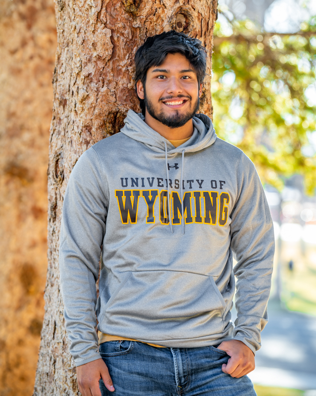 rueda Soportar Cálculo Under Armour Fleece University of Wyoming Hoodie | University Store